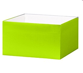 deluxe-ggb-10x10-36029-lime-r[1]_20160409154210